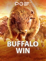 Info Game Buffalo Win Terlengkap untuk Pemula